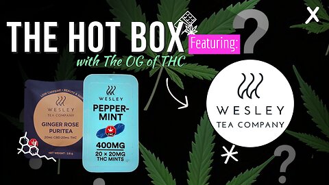 INFUSED TEA ☕, MINTS🍬 & COCOA🍫 | THE HOT BOX 🔥📦 - WESLEY'S TEA COMPANY
