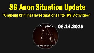 SG Anon Situation Update Aug 14: "Ongoing Criminal Investigations Into [DS] Activities"