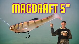 New Magdraft 5" swimbait