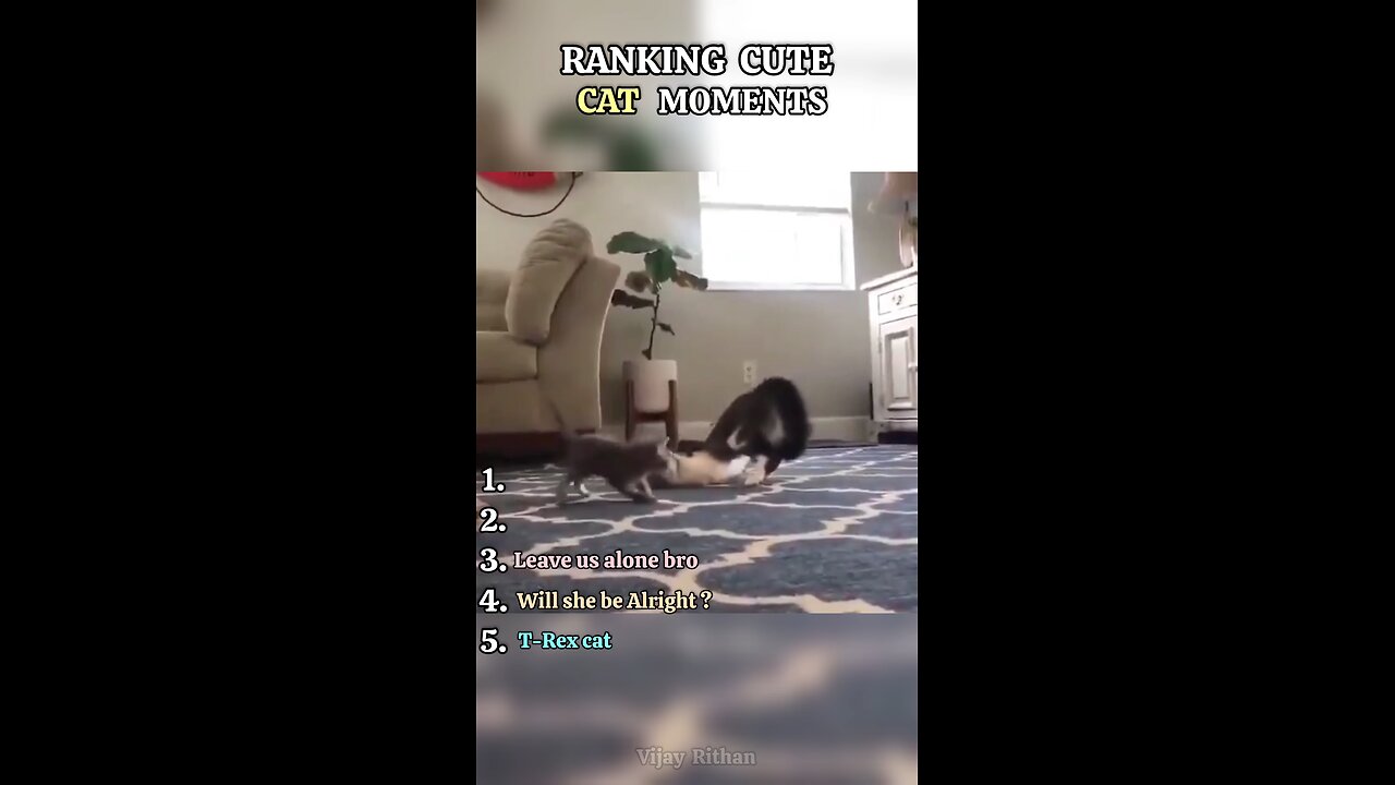 Ranking Cute Moments Episode -2