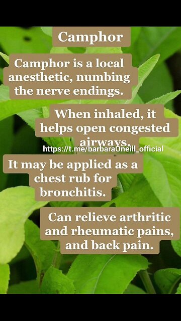 DO BIOPSIES SPREAD CANCER...