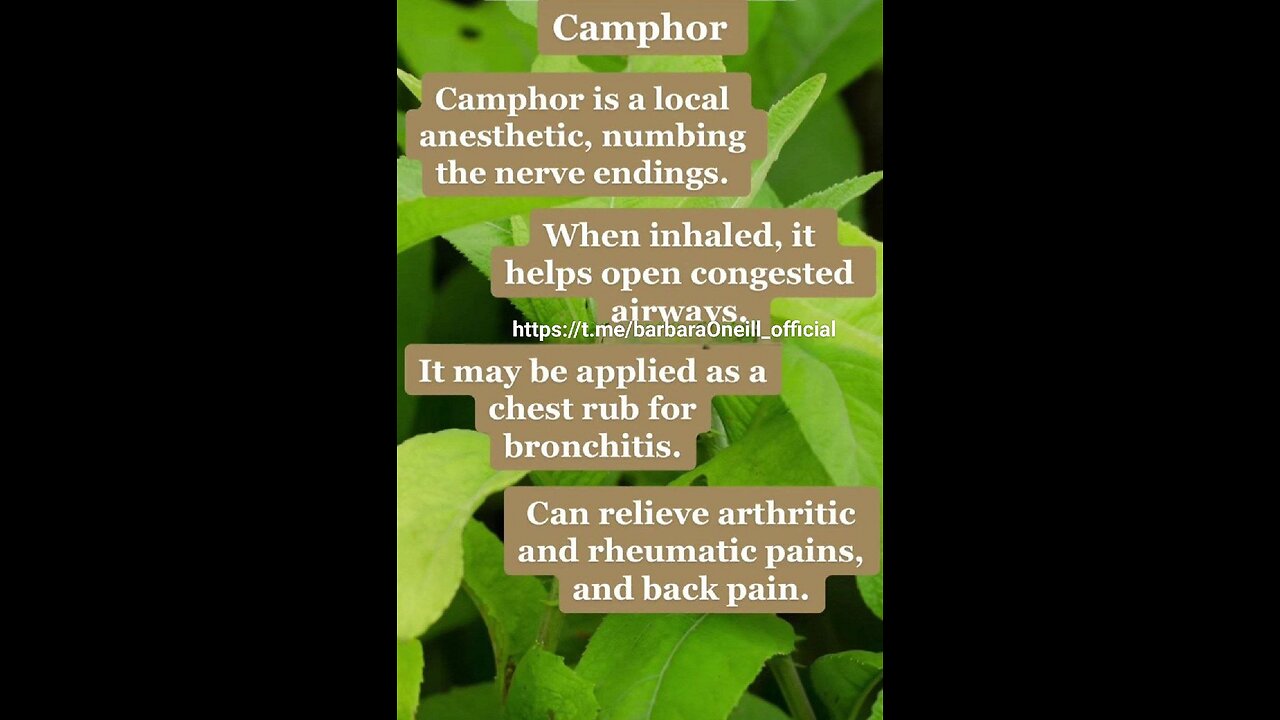 DO BIOPSIES SPREAD CANCER...