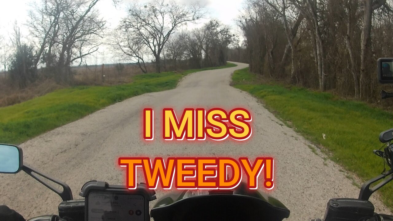 I HOPE HE SHOWS BACK UP!