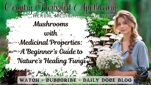 Mushrooms with Medicinal Properties: A Beginner’s Guide to Nature’s Healing Fungi