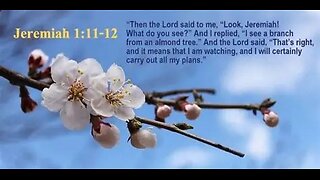 The Almond Rod Jeremiah 1:11-12 with Dr. Tom Knotts, Jr.