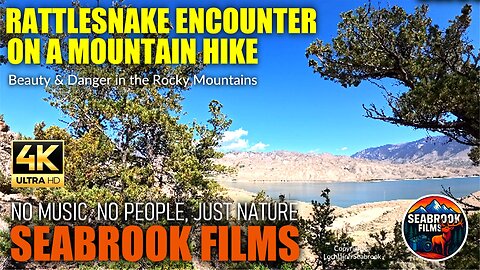 Rattlesnake Encounter on a Mountain Hike: Beauty and Danger in the Rocky Mountains