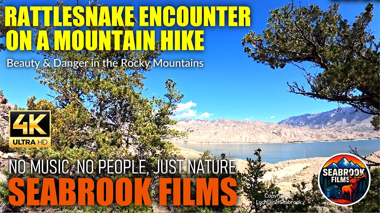 Rattlesnake Encounter on a Mountain Hike: Beauty and Danger in the Rocky Mountains