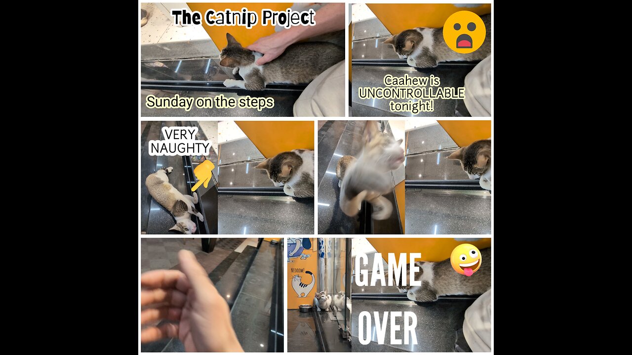 Sunday Steps - GAME OVER!