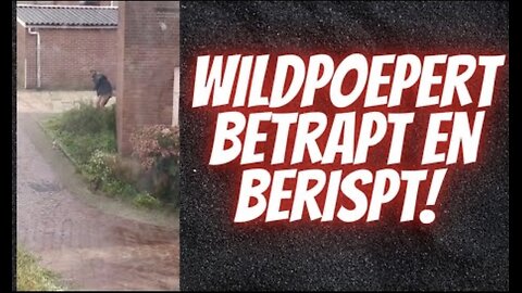 Shabir betrapt meralt