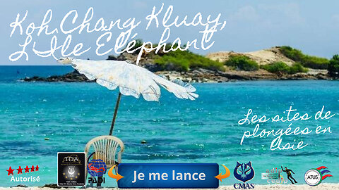🌸 Plongée à Hin Tai, Samae San, Le Rocher des Tortues, Un Havre de Paix Sous-Marin