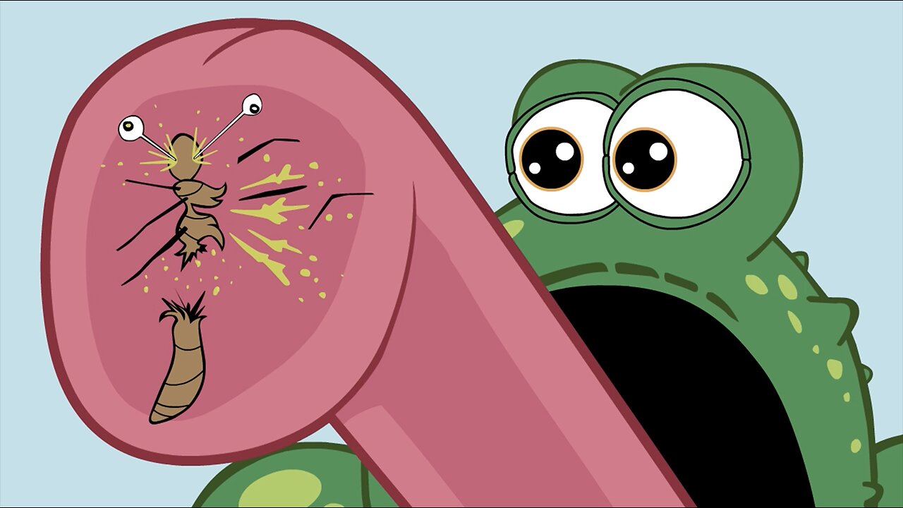 Frog