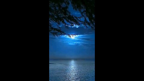The Calm Beach