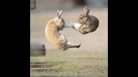 MONSTER HUNTER FREEDOM UNITE™ 2024