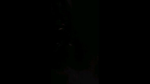 Hippie Sabotage - Too Long (Live)