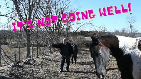 Thinks Are NOT Going Well For US! I Apologize For The RANT!