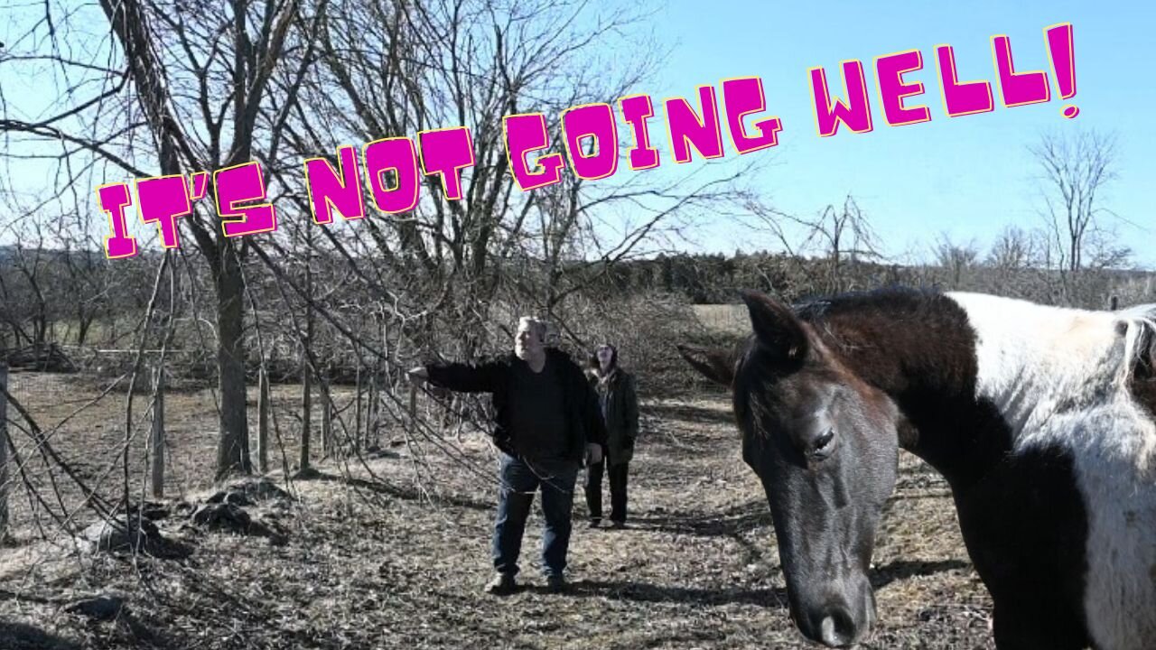 Thinks Are NOT Going Well For US! I Apologize For The RANT!