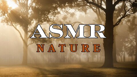 Autumn Ambience for Relaxation | ASMR Foggy Forest & Piano Music