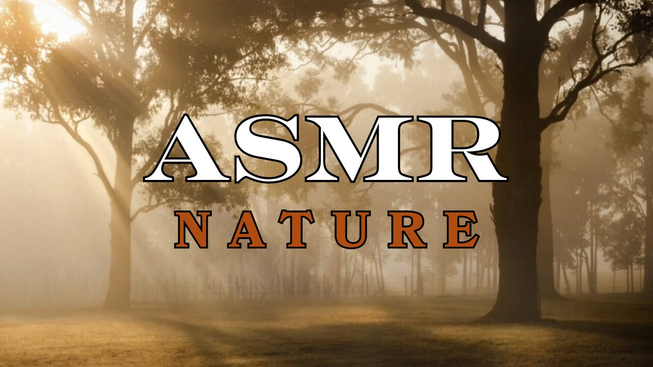 Autumn Ambience for Relaxation | ASMR Foggy Forest & Piano Music