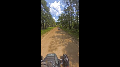 Riding in Kisatchie National Forest