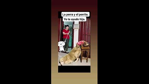 मां का दिमाग