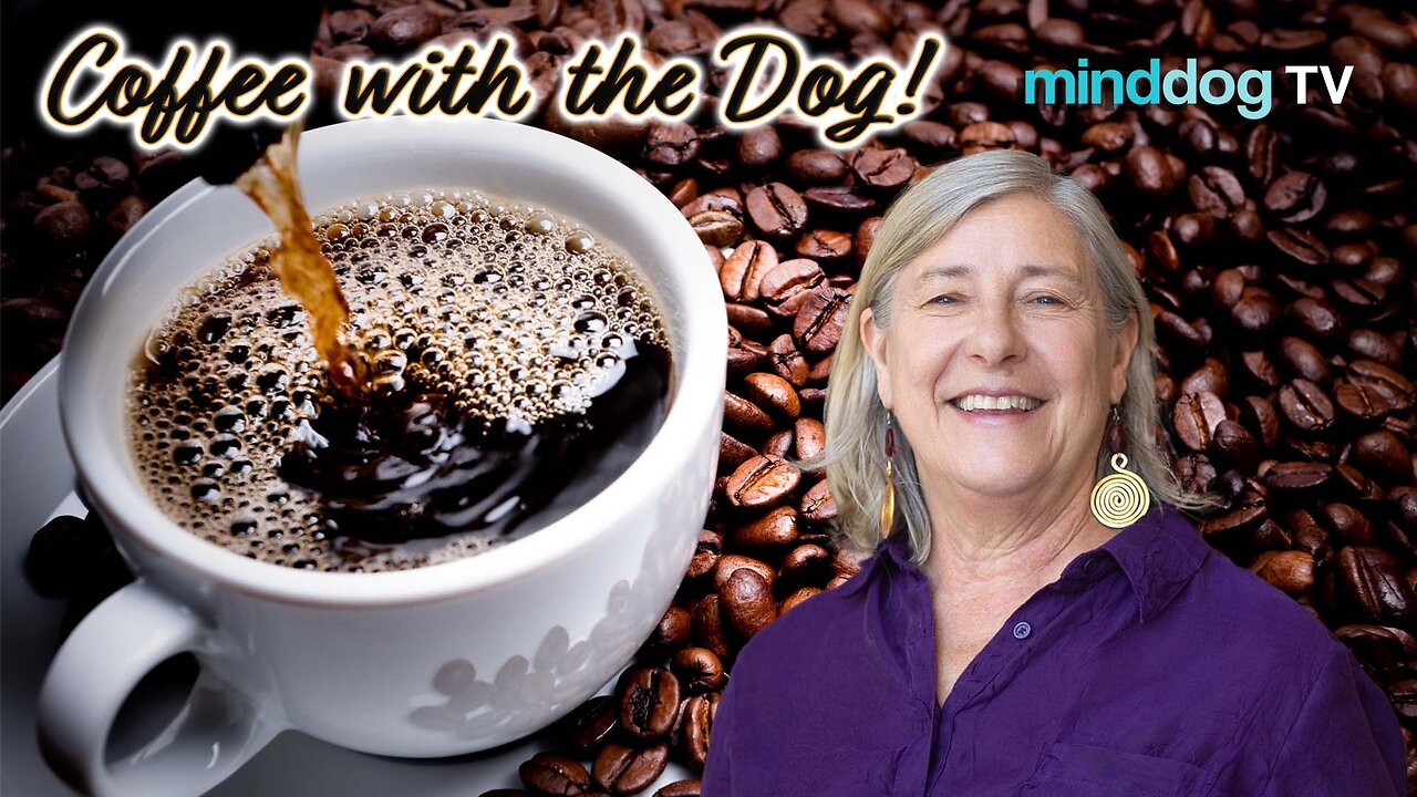 Meet the Author Ericka Verba EP897