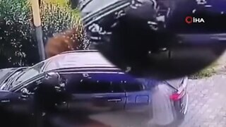 Turista condenado a 25 años por atropellar mortalmente a ladrones en Turquía