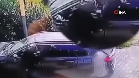 Turista condenado a 25 años por atropellar mortalmente a ladrones en Turquía