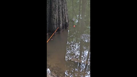 gaters like fishing to