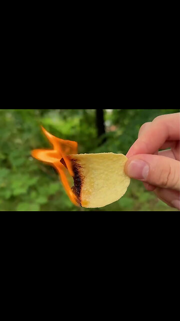 Bushcraft skills #bushcraft #survival #camping #forest #outdoors #shorts