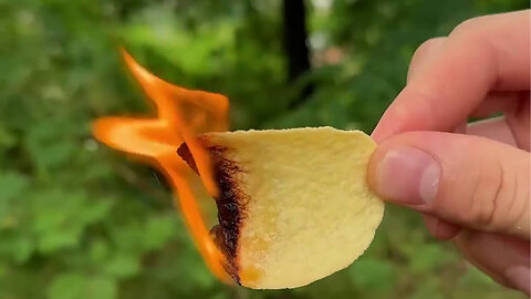 Bushcraft skills #bushcraft #survival #camping #forest #outdoors #shorts