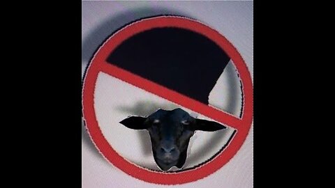 FINALLY GETTING It OUT!! This Is The Introduction to the PROJECT Part 2 The SLAUGHTER Of El's SHEEP