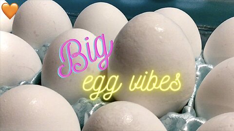 Lucky Egg-cellent Discovery