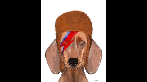 Waiting for My Man (Velvet Underground cover) - Slaughter & The Dogs