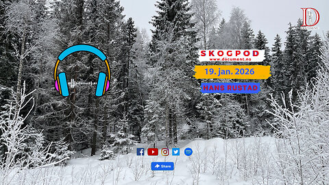Skogpod 19. januar 2026