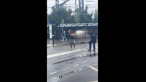 Paris, France: Cops pepper spray a knife wielding woman