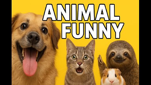 😂 Funniest Animals Ever | Cute & Funny Animal Videos Compilation