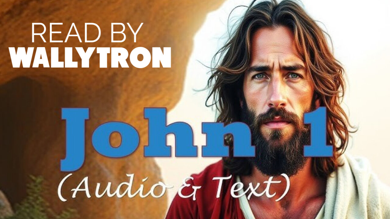 John 1 Audio Bible Read by Wallytron