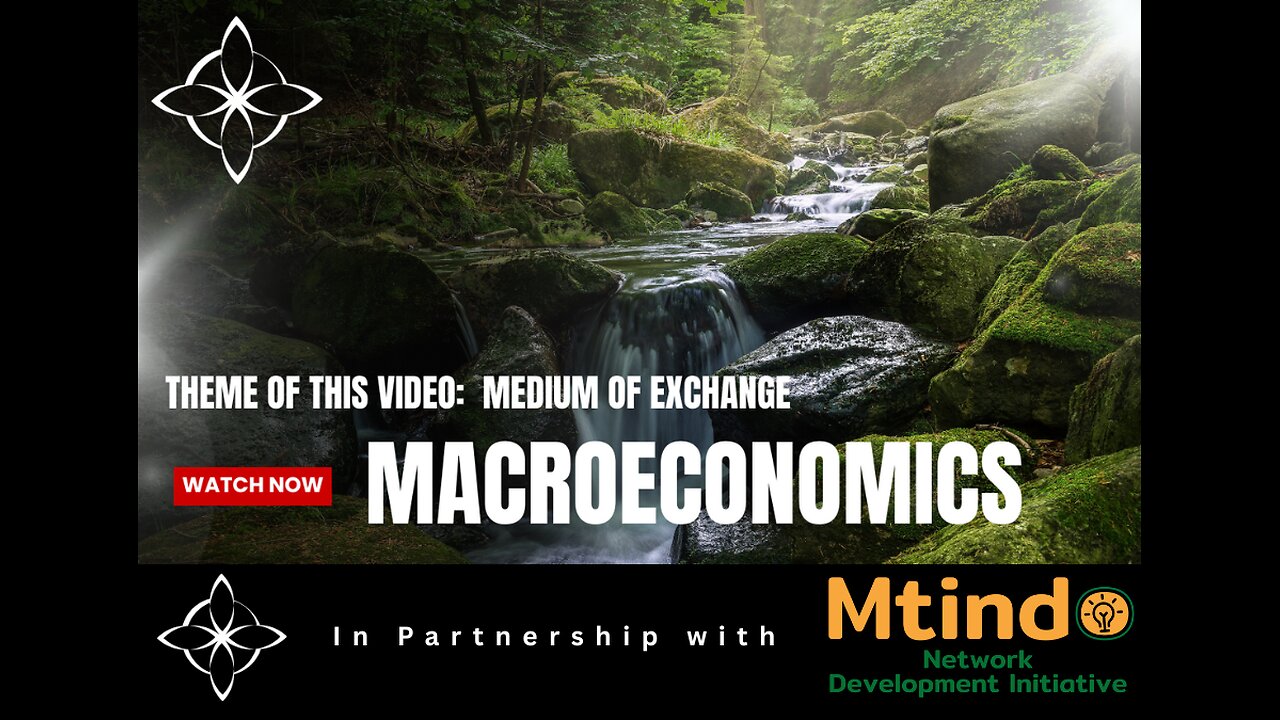 Macroeconomic Gem Video #29 is about medium of exchange.