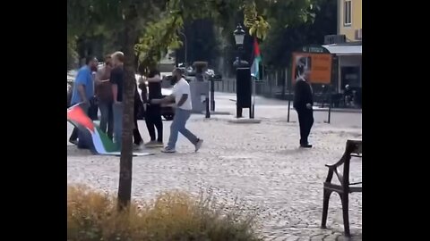Muslim Migrants protesting against Israel attacked a group of Swedes in Uddevalla. Peaceful Mofos?