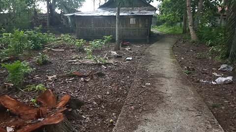 POV Village Life During Strong Wind | Peaceful Rural Atmosphere
