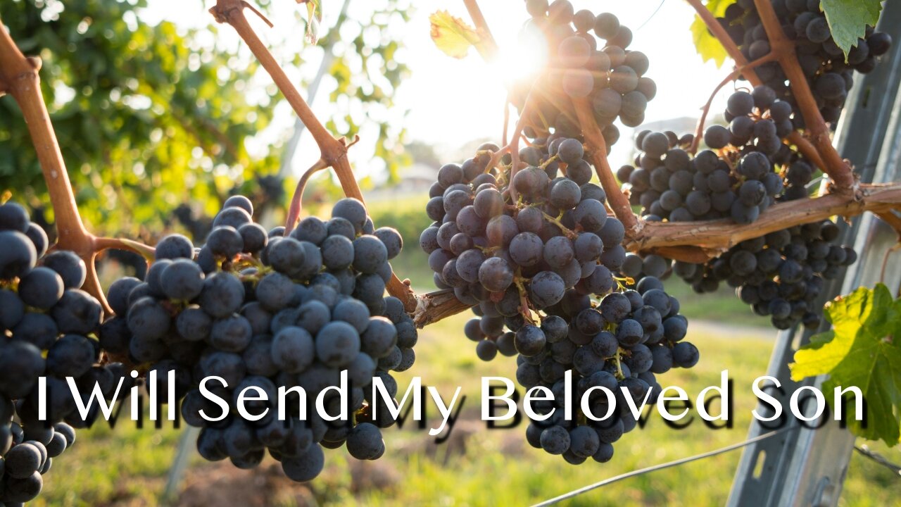I Will Send My Beloved Son - Luke 20:9-19 - 5th Sunday in Lent, April 6, 2025