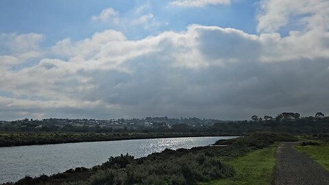 Riverside Scenery