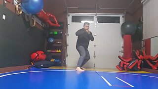 WTD Sliding Axe Kick to Hook Kick sequential
