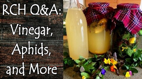 RCH Q&A: Aphids, Vinegar, and More