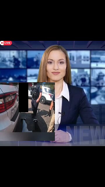 Woman orders 100 pizzas, refuses payment as police respond #Pizzagate #japd