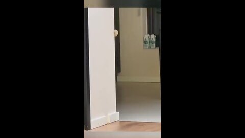 "It's only 26 seconds, but it's so inspiring! 🐱❤️"