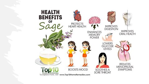 "Exploring the Health Benefits and Various Uses of Sage"