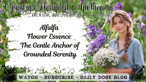 Alfalfa Flower Essence: The Gentle Anchor of Grounded Serenity