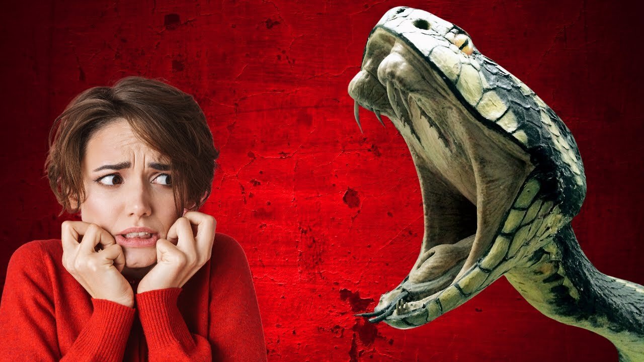 I 5 🐍SERPENTI🐍 più velenosi del mondo
