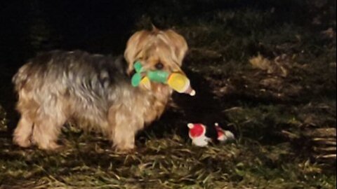 Batman plays the song of his people